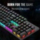 HP GK100F Mechanical Gaming Keyboard with RGB Backlight